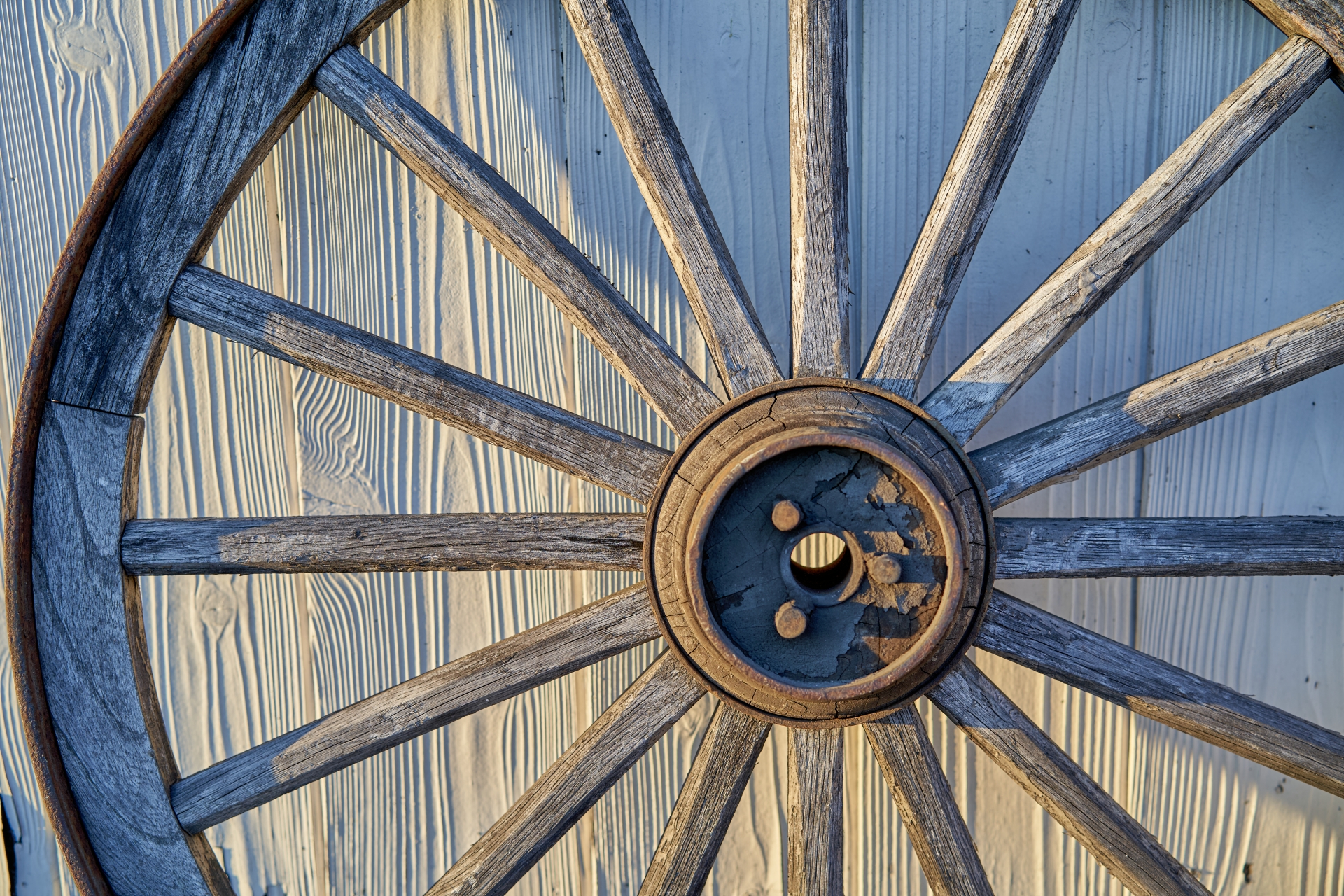Rudder background